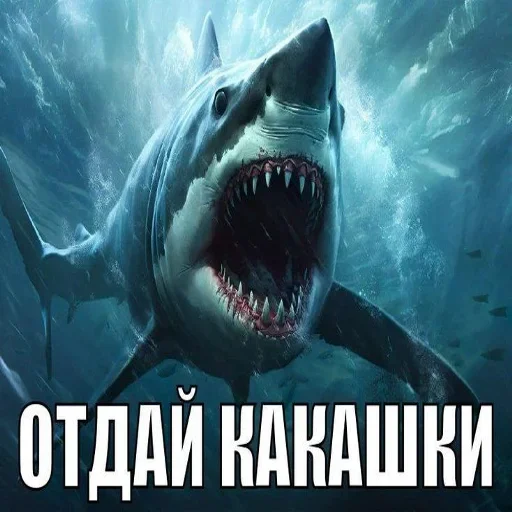 Telegram stiker 🍞 Больше стиков тут: @stikery4