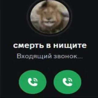 Video sticker 🔥 Больше стиков тут: @stikery4