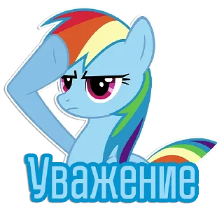 Video sticker 🫡 Фразочки Рейнбоу Дэш | @Egor418