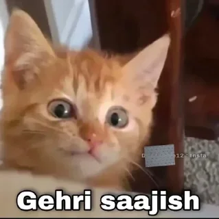 Video sticker 😱 Aniᴍeͥ ᴍaͣfͫia @Mafia_anime