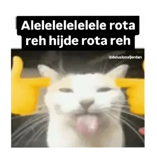 Video sticker 🐱 @Melbourne82 pack