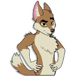 Video sticker 😏 DingoTOS