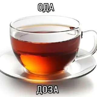 Video sticker 👍 Важное