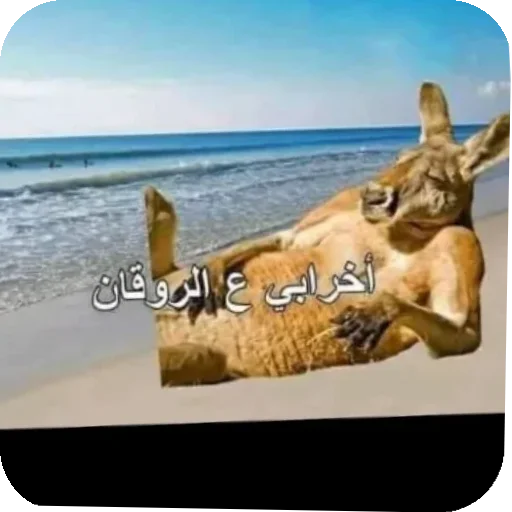 Telegram sticker 👍 @NNV9I