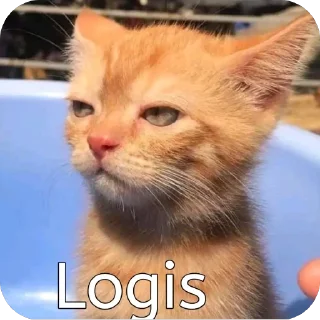 Video sticker 🫥 Lele Community