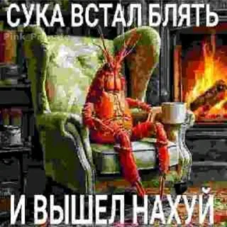 Video sticker 🦀 🥀