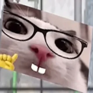 Telegram sticker 🤓 🥀