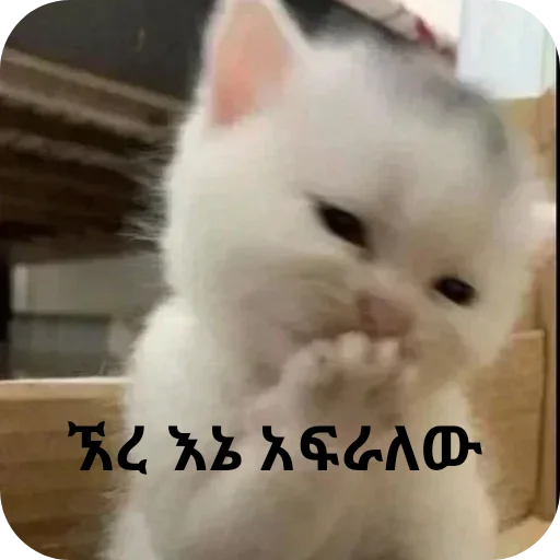 Telegram sticker 😗 @ye_urael_lij :: @fStikBot