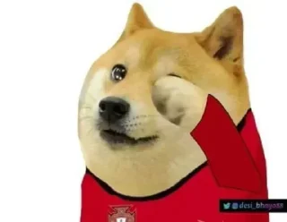 Telegram sticker 😢 Cheems | @tarahume | @StickerXtara