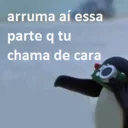 Video sticker 👤 Pingu
