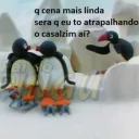 Video sticker 😘 Pingu