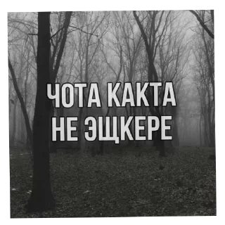 Video sticker 😭 Побрякушки хуюшки🪳 || @UndeadD0lly