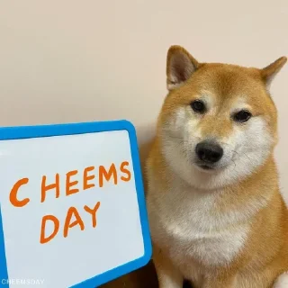 Sticker 🐕 ShibaInu @sarbazemame