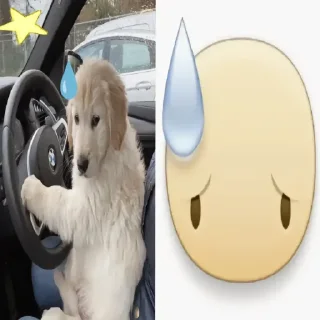 Telegram sticker 😓 флорида животные
