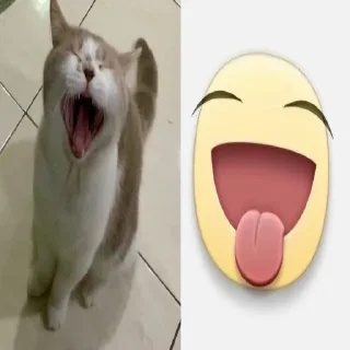 Telegram sticker 😄 флорида животные