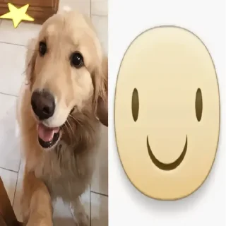 Telegram sticker 😊 флорида животные