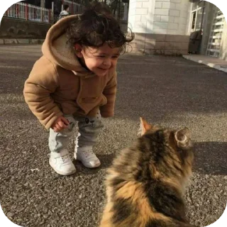 Video sticker 🐱 🍀 @herr_soull