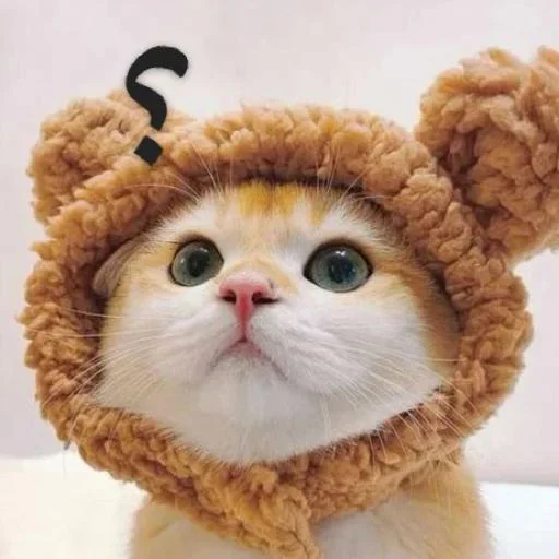 Telegram sticker ✨ "@ttt_f