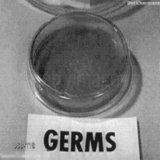 Video sticker ⭐ ᯽ S-ӇƖƬԼЄƦ ᯽│@laddukadabba2 ᯽