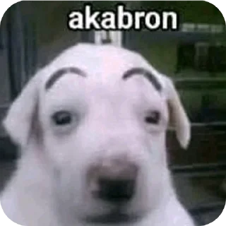 Telegram sticker 🐶 LeshuMamadas2 @Leshu_Arts