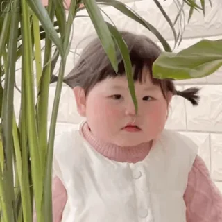 Video sticker 🥰 🍳摇一摇小肉包🥰 @yaoyiyaoxiaokeai