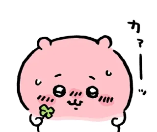 Video sticker ⭐️ чіікава пуньк