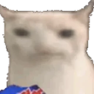 Video sticker 🐱 Нарезка Егорьевская Колбаса Се :: @fStikBot