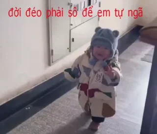 Video sticker 🌟 KenhNhacThanhPho :: @Bicoi998 :: @fStikBot