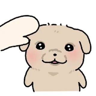 Video sticker ⭐ 깨득이 6 @moe_sticker_bot