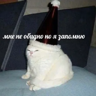 Video sticker 🤨 тупые мемы @victimofanxiety