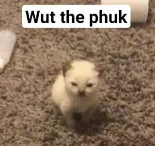 Video sticker 😠 Literally @kami_arjun ~ @nishantp07