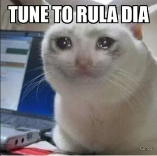 Телеграм стикер 😭 Stickers Collection 🔥