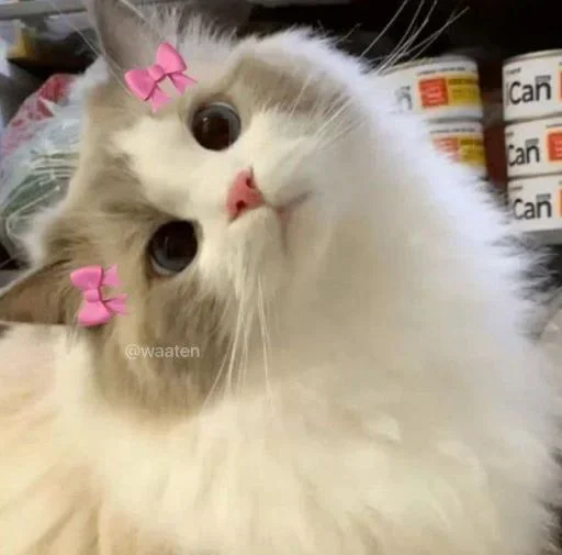 Telegram sticker 🍇 𝘼𝙡𝙡 𝙞𝙣 𝙊𝙣𝙚 𝙋𝙖𝙘𝙠- @coolpackss