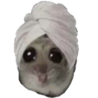 Video sticker 🙂 ★pizdabolki★