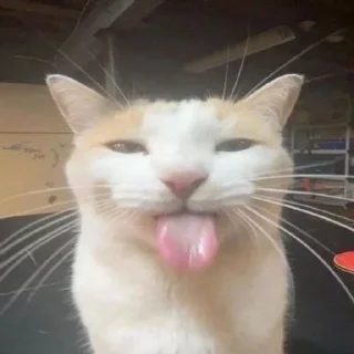 Sticker 😝 Le silly