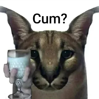 Video sticker 🥛 Le silly