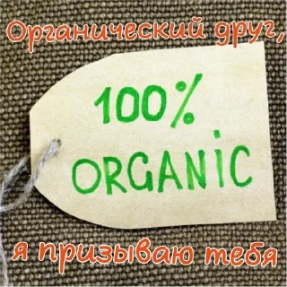 Telegram sticker 🍀 ПЕРВЫЙ ПАКЕТ