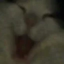 Sticker 😸 HJ 🏴 pack №3