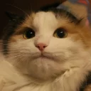 Telegram sticker 😐 HJ 🏴 pack №3