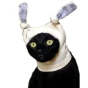 Telegram sticker 🍤 HJ 🏴 pack №3