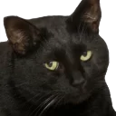 Telegram sticker 😇 HJ 🏴 pack №3