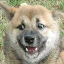 Telegram sticker 🍟 HJ 🏴 pack №3