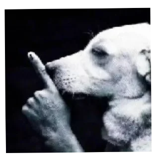 Video sticker 🐶 Pacote do Carlinhos @GigaPardos