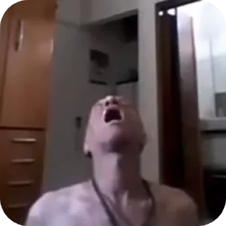 Sticker 🛋 Pacote do Carlinhos @GigaPardos