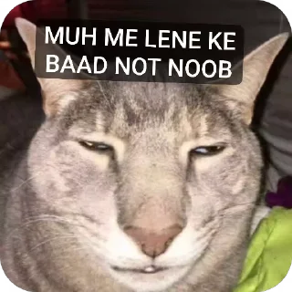 Video sticker 😪 SATYAM KA STICKER