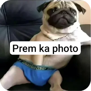 Video sticker 👍 SATYAM KA STICKER