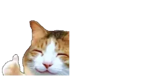 Telegram sticker 👍 جواب بی وفایی کلاش بی جوازه😉