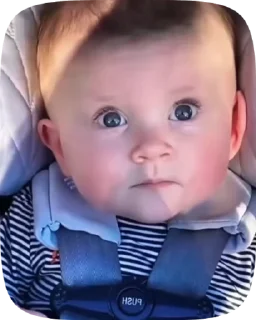 Video sticker 😈 @funny_gif_sticker👈همش اینجاس