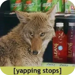 Telegram sticker 😶 Taisa's Coyote Content