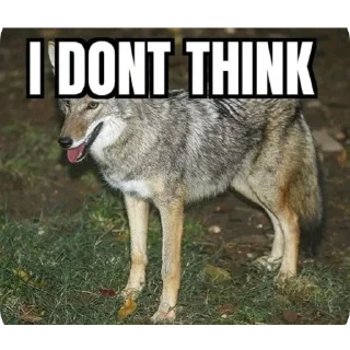 Telegram sticker 😶 Taisa's Coyote Content